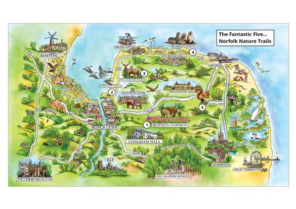 The Fantastic Five...Norfolk Nature Trails