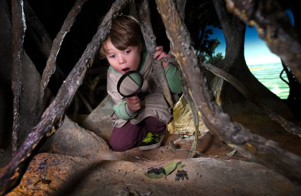 Finn Chomczuk, 5, explores the rain forest at Dynamic Earth