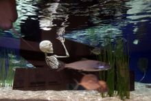 Trick or Treat Under the Sea-skeleton