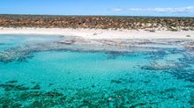 Coral Coast Helicopter Services