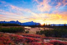 Hochmoor in Filzmoos with view of the Dachstein