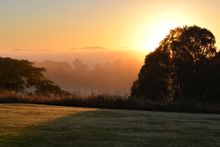 Nature Tri sunrise: Imbil, Mary Valley