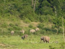 Kui Buri National Park, Thailand