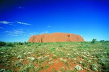 Uluru/Ayers Rock with wildflowers