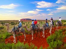camel riding near Uluru (Ayers Rock)