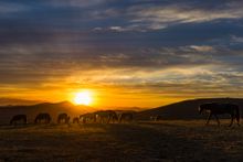 Mongolia