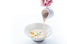 Chestnut Veloute