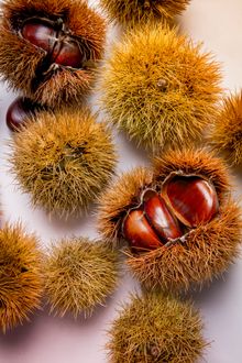 Chestnuts