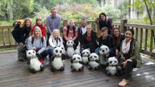 Giant Panda Breeding Centre, Chengdu. BACK ROW L-R Fleur Bainger – White Noise Media, Camilla Roswall –Travel Directors, Russell Brown – Travel Associates, Paula Wilson – Helloworld Albany, Paul Lim – China Southern Airlines, Mandy Miao –China Southern Ai