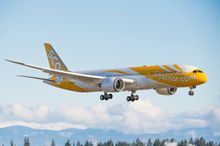 Scoot fly an all Dreamliner fleet from Australia to Singapore