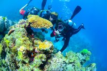 Crew of Divers Den at Beer Garden Reef, 65km north east of Port Douglas.