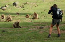 Simien Mountains - KE Adventure Travel