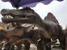 Pangaea Land of the Dinosaurs at OdySea 