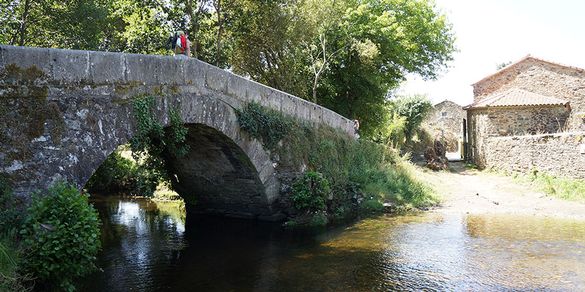 Pilgrim on the Camino Frances in Galicia
