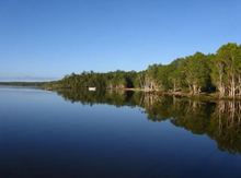Habitat Noosa