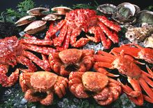 Fresh Hokkaido Seafood