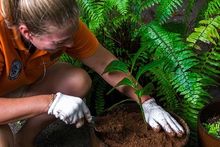 Dusit Thani Maldives Makes Key Step Towards Sustainable Farming