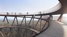 The Treetop Experience