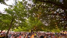 Festivale 