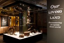  Tasmanian Museum and Art Gallery