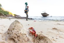 Google Trekker on Christmas Island - Flying Fish Cove