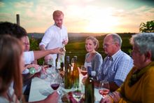Weinberge / Besen
