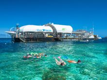 Private snorkelling time on Reefsleep