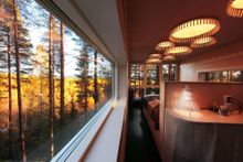 Autumn Aurora, The Cabin, Treehotel