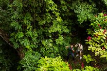 Bird Watching at San Ignacio Resort Hotel