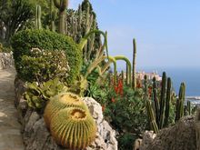 Monaco Exotic Garden 