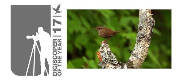 SWAROVSKI OPTIK'S “DIGISCOPER OF THE YEAR 2017” COMPETITION SWAROVSKI OPTIK'S “DIGISCOPER OF THE YEAR 2017” COMPETITION