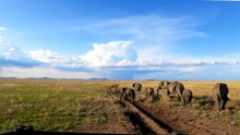 Serengeti, Tanzania