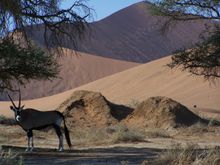 Namib Naukluft NP, Namibia