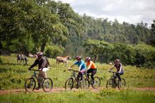Mountain bike safari, Mlilwane Wildlife Sanctuary, Swaziland 