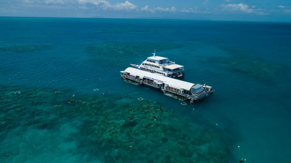 Dive into the Great Barrier Reef from the new Sunlover Reef Cruises pontoon at Arlington Reef.