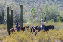 White Stallion Guest Ranch, Arizona, children riding through flowering cacti