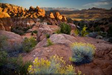 Arches National Park, Devils Garden, Utah