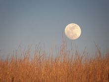 Flying W Working Ranch, Kansas, Moon over the Tallgrass prairie
