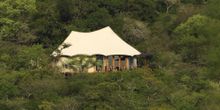 Pakamisa Luxury Lodge, South Africa, launches new nine night escorted photography & riding safari, accommodation at Thanda