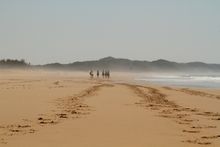 Pakamisa Luxury Lodge, South Africa, launches new nine night escorted photography & riding safari: Indian Ocean - St. Lucia