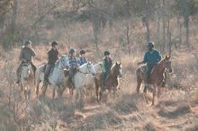 Horizon Horseback Adventures, South Africa, family riding safari