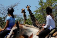 Horizon Horseback Adventures, South Africa, children on riding safari