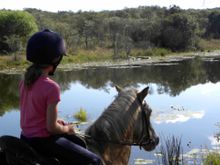 Horizon Horseback Adventures, South Africa, hippo viewing