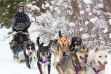 Triple Creek Resort Ranch, Montana, dog sled ride