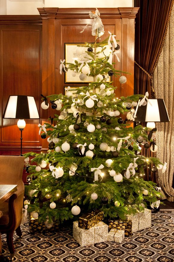 Hotel 41 Christmas