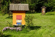 Beehives in the Julian Alps, Slovenia