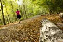 Discover more of the Forest - go for a run