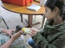 Helping conserve animals in Costa Rica