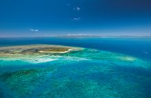 Quicksilver Reef Swim Green Island