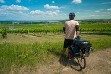 Between Mikulov and Brno